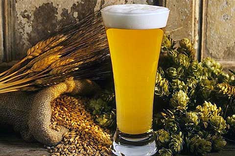 Birra, luppolo e malto d'orzo