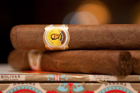 Sigari Bolivar