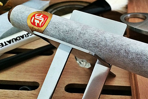 Sigaro Fonseca Delicias